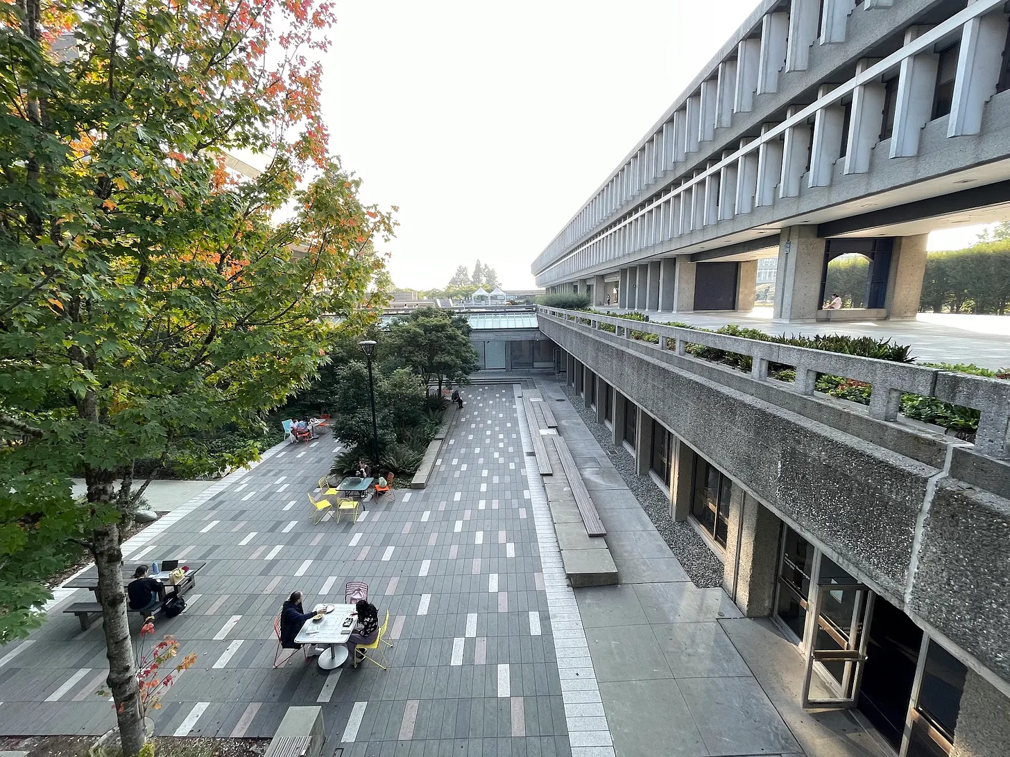 Smoky skies and a realization about building less.